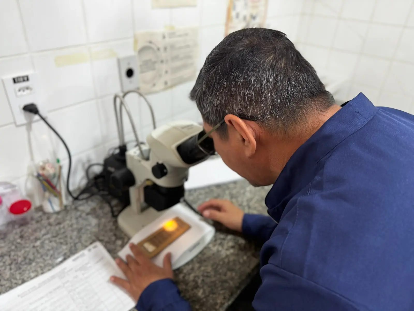 MAPEAMENTO - Coleta de ovitrampas avança na preparação para o Método Wolbachia